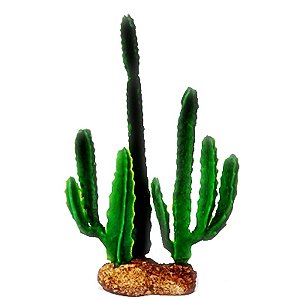 ENFEITE DE SILICONE SOMA PLANTA CACTUS 04