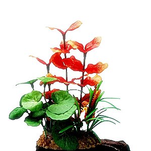 PLANTA MIX SOMA PAISAGEM 50