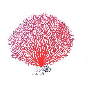 ENFEITE DE SILICONE SOMA INVERT GORGONIA SEAFAN VERMELHA