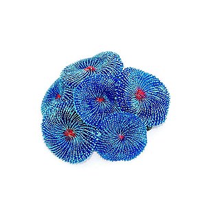 ENFEITE DE SILICONE SOMA CORAL RICORDEA AZUL 02