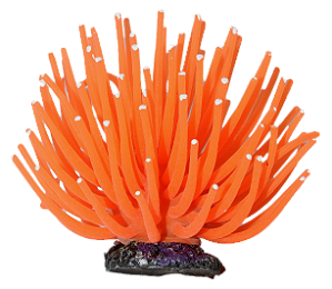 ENFEITE DE SILICONE SOMA ANEMONA SHORT LARANJA  6 CM