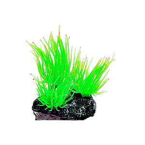 ENFEITE DE SILICONE SOMA ANEMONA LONG TENTACLE VERDE - MULTI