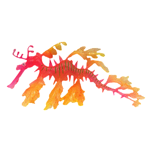 ENFEITE DE SILICONE SOMA JELLY DRAGAO DO MAR AMARELO E ROSA