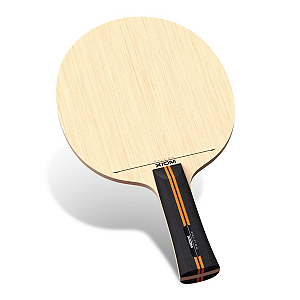 Raquete Clássica Para Tênis de Mesa XIOM - Paltida