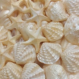 Kit Lembrancinha Sabonetes Conchas do Mar