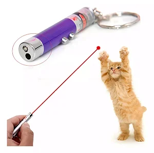 Brinquedo Laser Interativo Pet