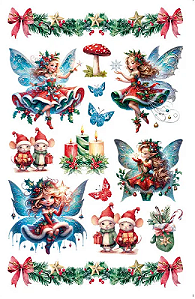 TRANSFER DE IMAGEM TISN-020 - NATAL