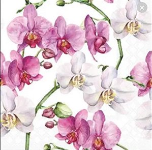 Guardanapo de Papel Elegant Orchids White.