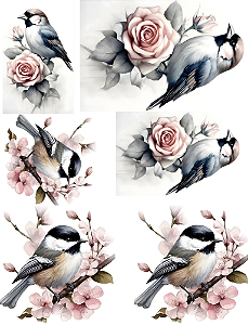 Hidro Transfer - Decalques - Pássaros - @artebrentan
