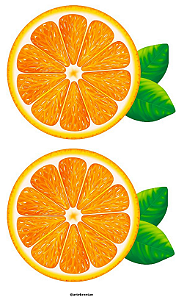 Hidro Transfer - Decalque - Laranjas