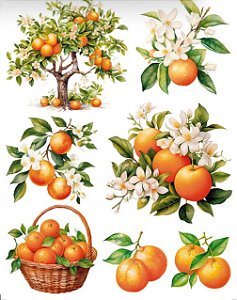 Transfer de Imagem TIM-002 - Laranjinha - Medio