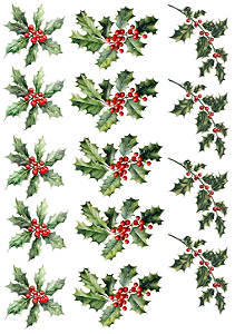 Hidro Transfer Decalques - Azevinhos - Coleção Natal