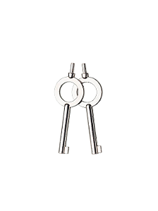 Chave de Algema Invictus em Aco Carbono 2 Peças