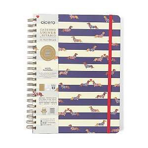 Caderno Universitario 10 Matérias 160fls Praia Cachorros Cicero