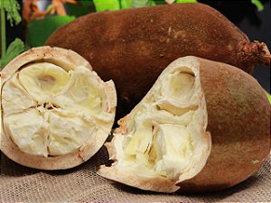 Polpa de Cupuaçu puro tesourado  - 1kg