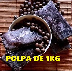 Açai Paraense Puro da Fruta - 1kg CONGELADO
