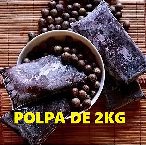 Açai Paraense Puro da Fruta - 2kg CONGELADO