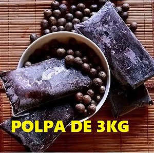 Açai Paraense Puro da Fruta - 3kg CONGELADO