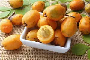 Polpa de Seriguela puro  - 1kg