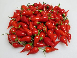 Pimenta biquinho 280g