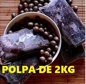 Polpa de  Açaí MÉDIO 2 Litro - (congelado)