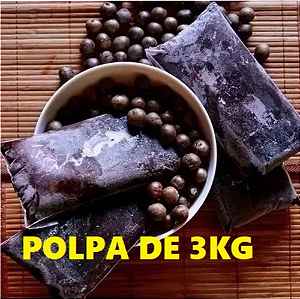 Polpa de  Açaí MÉDIO 3 Litro - (congelado)
