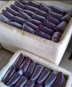 Açaí Paraense no atacado - 25 litros.
