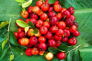 Acerola inteira e congelada - 1kg