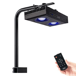 Luminaria Para Aquario Marinho Led Ct Lite G5 85w