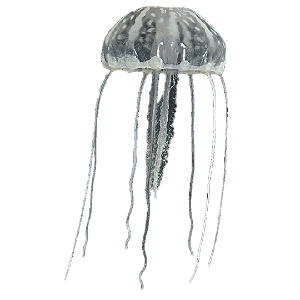 ENFEITE DE SILICONE SOMA JELLYFISH BIG BRANCA