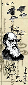Marcador de página - Charles Darwin (Do The Evolution Baby)