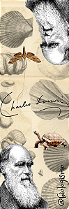 Marcador de página - Charles Darwin (Mariposa/tartaruga)