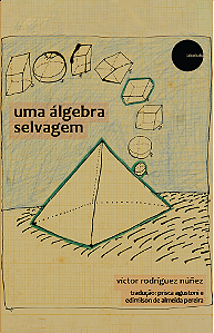 uma álgebra selvagem - Víctor Rodríguez Núñez