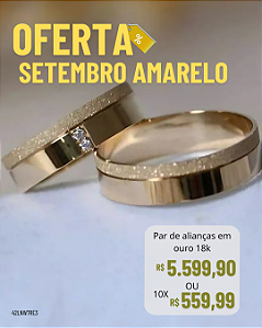 Alianças de Casamento Ouro 18k 6mm 8 gramas