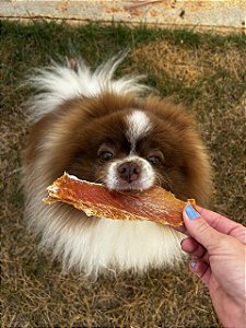 Stick de Frango TAMANHO G