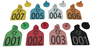 Brincos Personalizados para Gado | kit 50 Brincos