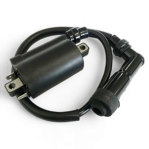 Bobina De Ignicao Gauss Citycom 300i Cbs 0.3 2014-2016