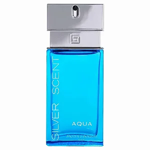 Jacques Bogart Silver Scent Aqua Edp 100ml - Masculino