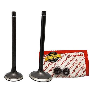 Kit Válvula Admissão E Escape Com Retentor Fazer Lander 250