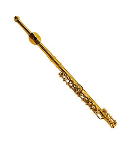 Mini Flauta Transversal Instrumento Musical Miniatura Dourada com Case