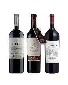Kit Grandes Amigos 1,5L