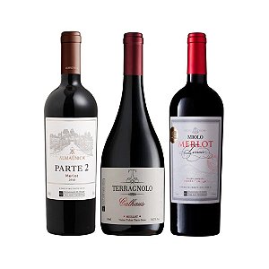 Kit 03 Vinhos Merlot D.O Vale Dos Vinhedos