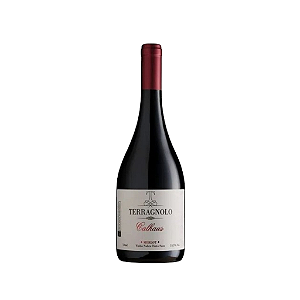 Vinho Tinto Terragnolo Merlot Calhaus