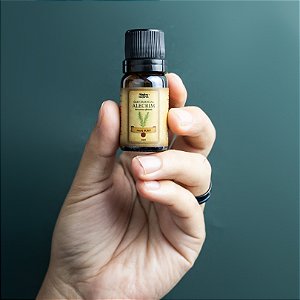 Óleo Essencial de Alecrim 100% Puro 10ml (Preço Sugerido de Venda de R$39,90 À R$49,90)