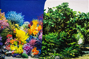 PAINEL IMAGEM DECORATIVA 30CM 15MT COD-8001/8002