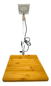 COCO FISH LUMIN. FF-202 12W BRANCA C/ BASE 23X22