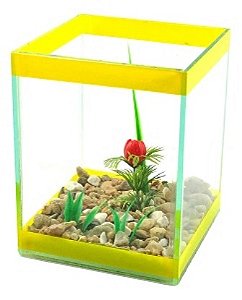 DY'AQUA BETEIRA QUADRADA 10X10X15 DECORADA UN