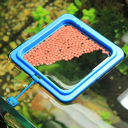 SKRw ALIMENTADOR ANEL FLUTUANTE QUADRADO 10cmX10cm