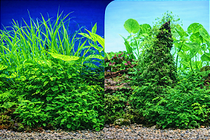 SKRw PAINEL IMAGEM DECOR 30 ALT 1CM COD-9051/9011