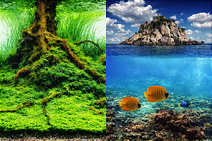 SKRw PAINEL IMAGEM DECOR 40 ALT 1CM COD-9045/9067